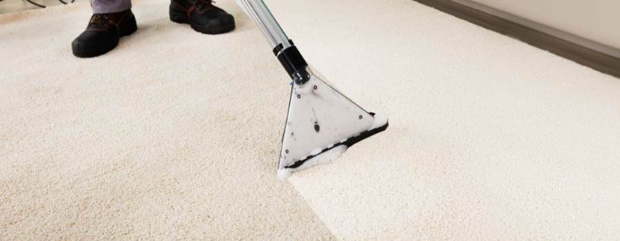 Carpet Steam Cleaning Tips for Sydney Residents